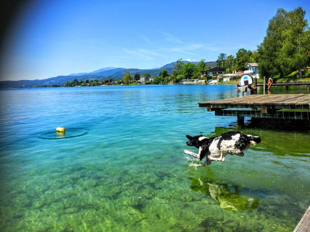 Appartements Allmaier Pörtschach am Wörthersee Eksteriør billede